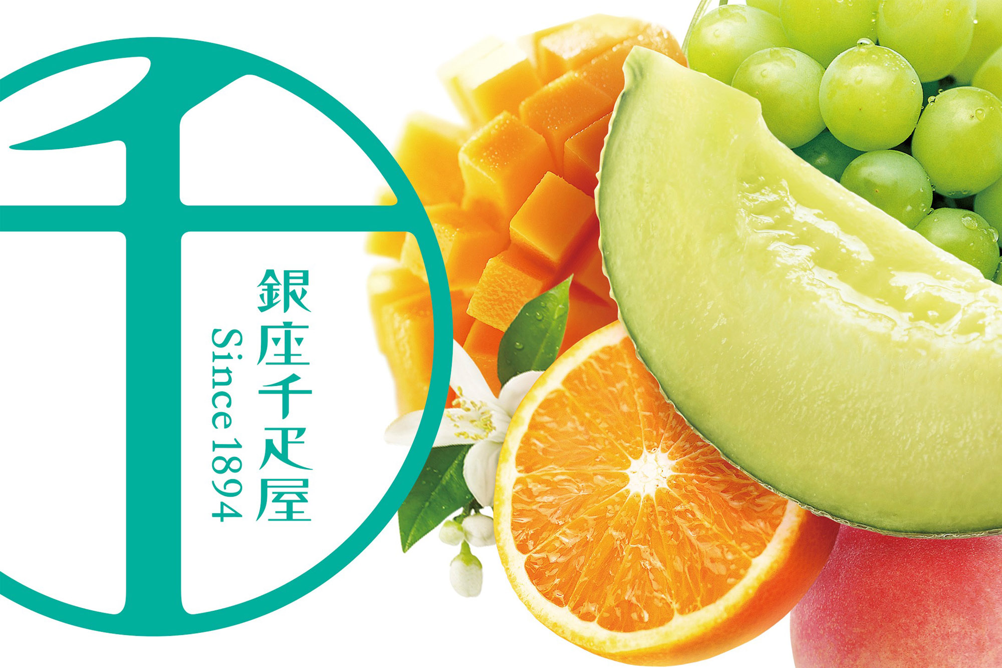 銀座焼きショコラサブレ16個