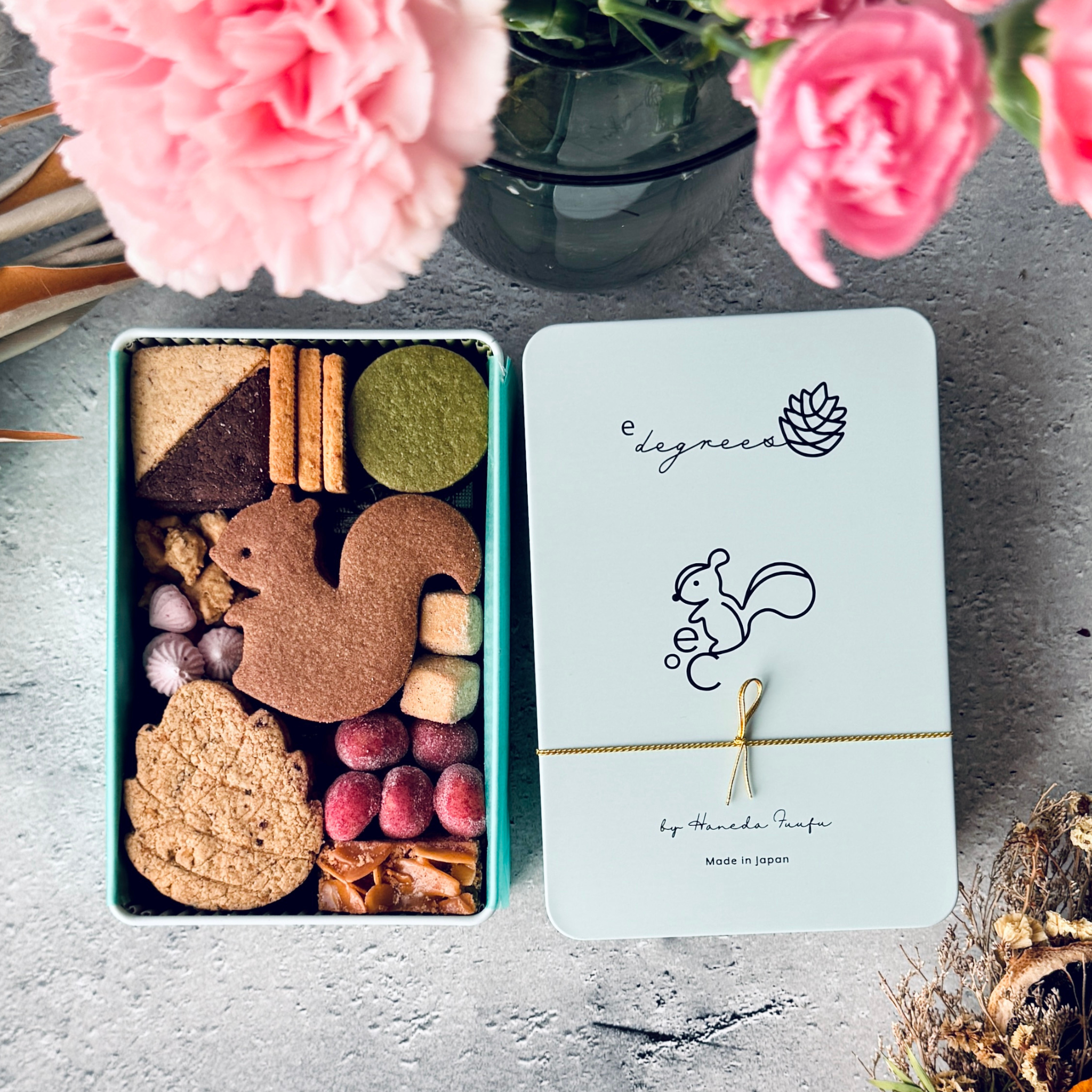 リスと戯れる森のクッキー缶