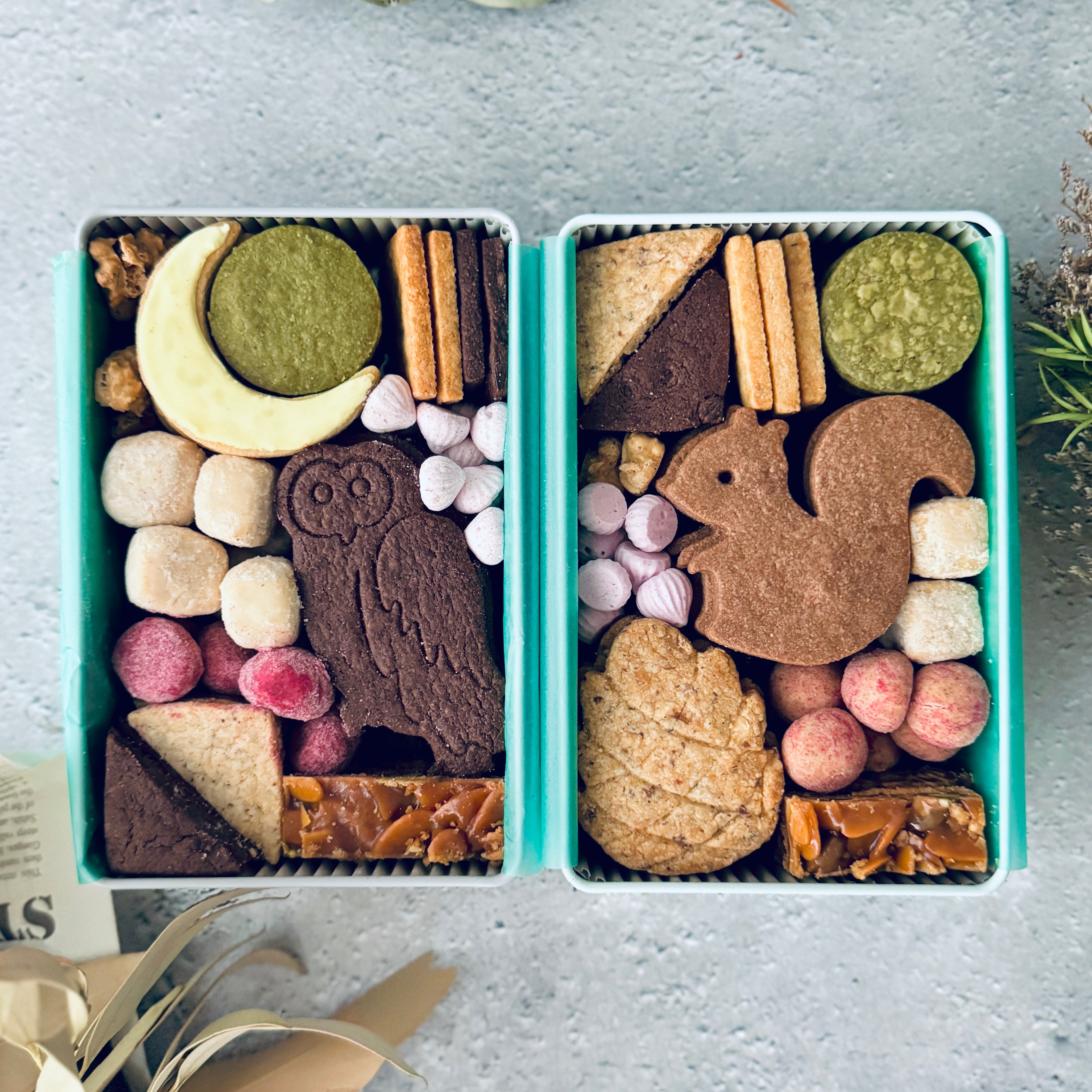 e℃ 洋菓子の代表商品 クッキー缶2個セット フクロウ&リス