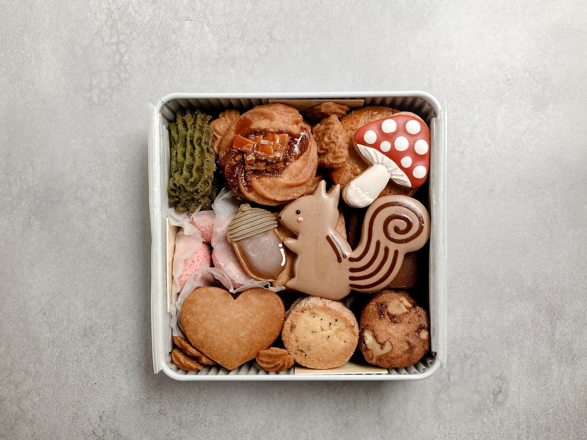 【定期便】マンスリー 月に一度のお届け /季節のクッキー缶（アイシングクッキー入り）