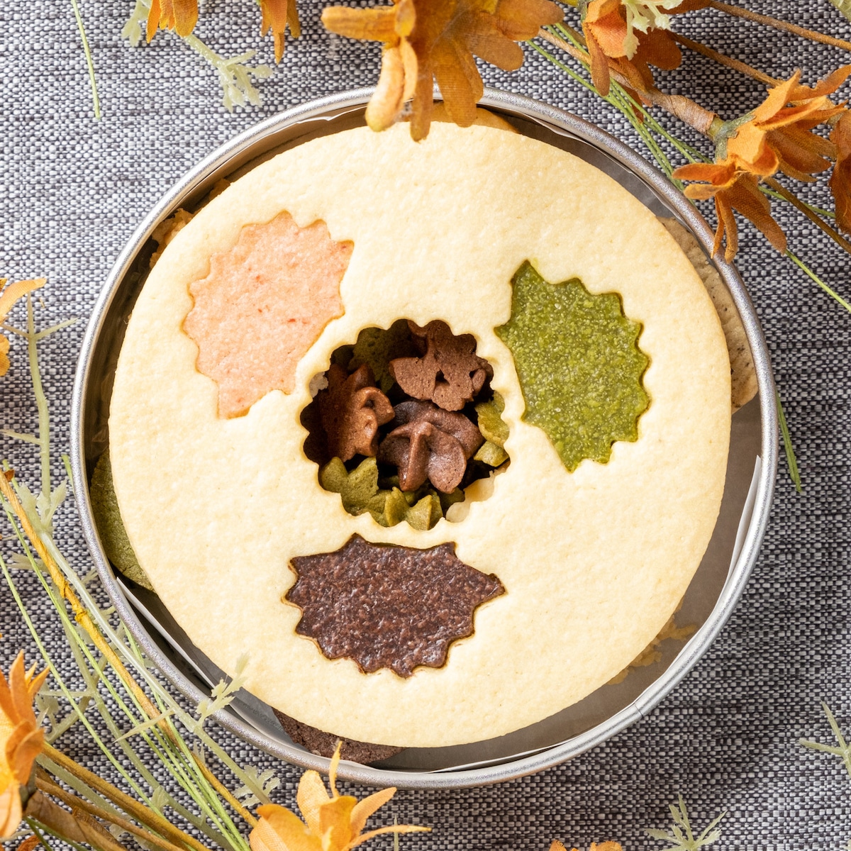 ハリネズミRUNRUNクッキー缶⁂発酵バターと米油使用⁂